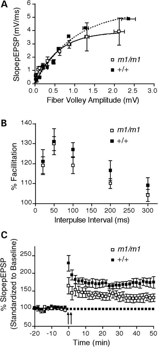 Impaired synaptic transmission and LTP of hippocampal CA1 slices. (A) Synaptic transmission was determined from pEPSPs of field recordings from the hippocampal CA1 synapses. Loss of the secretin receptor appears to have a deleterious effect on overall synaptic transmission (F[2,16]=4.095, P=0.0366, m1/m1, n=21; wild-type, n=11). (B) There were no significant changes in the short-term synaptic plasticity by testing the paired-pulse facilitation (PPF). (C) Deficiency of hippocampal LTP induction and maintenance phase in secretin receptor m1/m1 was observed (two-way ANOVA: genotype: F[1,481]=83.97, P<0.0001; time: F[25,481]=1.90, P<0.0001, m1/m1, n=13; +/+, n=11).