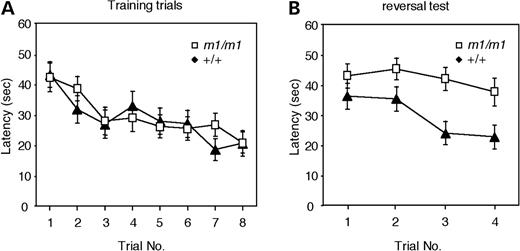 Reversal water maze behavior abnormalities in secretin receptor mutant mice. (A) Hidden platform test (latency). Both secretin receptor-deficient mice (m1/m1) and wild-type littermates (+/+) showed significant reductions in latency (search time) over the eight blocks of training. There was no significant difference between m1/m1 and +/+ (P>0.05). (B) Reversal hidden platform test (latency). Secretin receptor-deficient mice (m1/m1) did not show a decrease in latency over the four blocks of the test when compared with the wild-type mice (+/+) (two-way ANOVA: genotype: F[1,43]=8.656, P<0.005; time: F[3,129]=3.828, P<0.02).