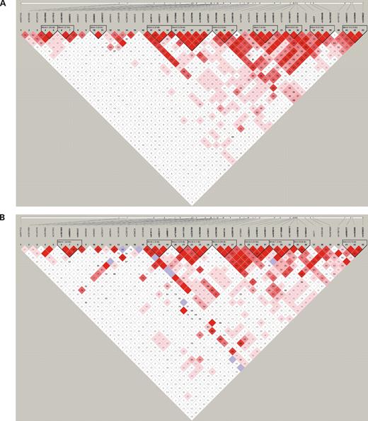 LD patterns in (A) EA and (B) AA subjects.