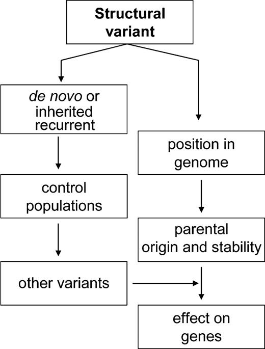 Figure 2. Genetic and genomic considerations of assessing the influence of structural variants on gene expression and phenotype/disease manifestation.