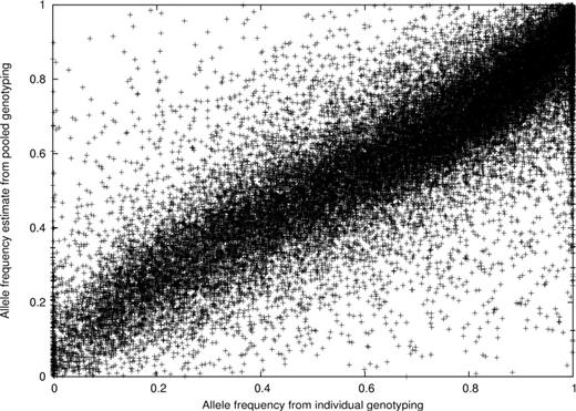 Scatter plot of the allele frequencies from pooling and individual genotyping from the Stage I sample.