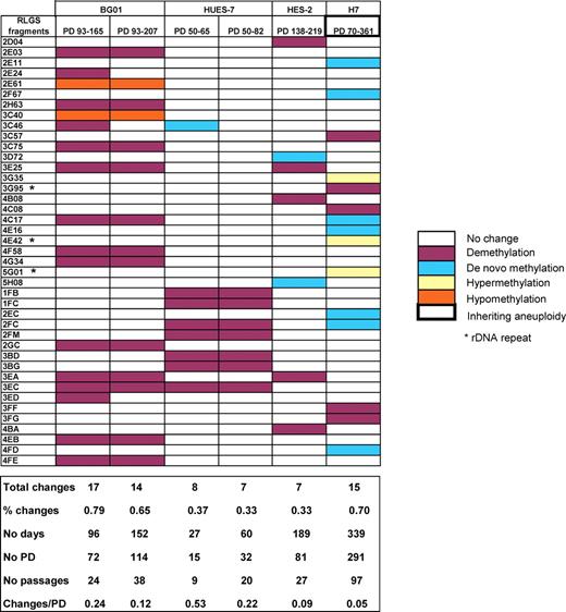 DNA methylation changes over time in culture. RLGS fragments that vary over time in HES-2 (manual passage culture on feeders), H7 (collagenase passage on feeders), BG01 (manual passage on feeders; MEFH) and HUES-7 (trypsin passage on Matrigel) are represented. BG01 and HUES-7 culture data are expressed relative to the MEFH 93 PD and MT 50 PD RLGS profile, respectively. The percentage of changes represents the proportion of changing loci relative to the 2137 examined RLGS fragments. PD, population doublings.
