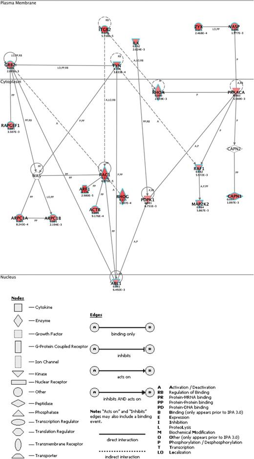 The integrin signaling gene network. Genes corresponding to significant transcripts correlated with mitochondrial content that are up-regulated are filled in red. The intensity of the red denoted the degree of up-regulation. Genes involved in integrin signaling are outlined in aqua.