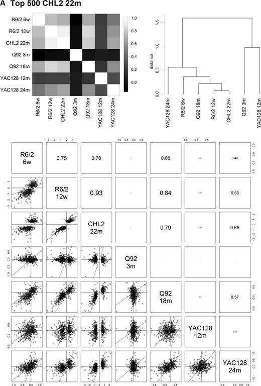 Correlation of M (log2 fold change) of HD effect across mouse models and discrimination of HD model subsets. Top left panels: Heat maps depict correlation coefficients of M for all pairwise comparisons between models. Genes selected by rank in the data set indicated [(A) 22-month CHL2Q150/Q150; (B) 12-week R6/2]. Top right panels: hierarchial clustering of models based on differential expression of gene sets indicated. Bottom panels: Scatter plots of M are shown (for all pairs of models) for gene sets indicated, with correlation coefficients. For all panels, selection of variable numbers of top-ranking genes (100–1000) achieved similar results. Qualitatively similar results were also obtained using top-ranked genes from human other model data sets, as well as with a selection of the most variable genes across all models.