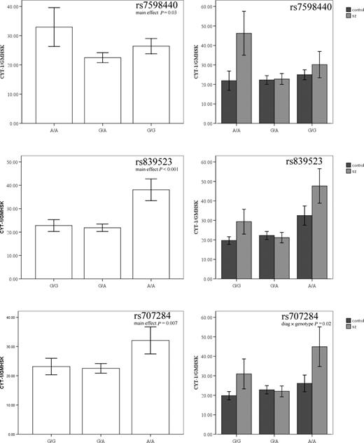 Association between schizophrenia risk variants (rs7598440, rs839523, rs707284) and CYT-1 splice isoform levels in the DLPFC. Left column, whole group; right column, data parsed by diagnosis. Mean ± SEM rs7598440: A/A, N = 11; G/A, N = 53; G/G, N = 42; rs83952: G/G, N = 35; G/A, N = 52; A/A, N = 18; rs707284: G/G, N = 30; G/A, N = 48; A/A, N = 21.