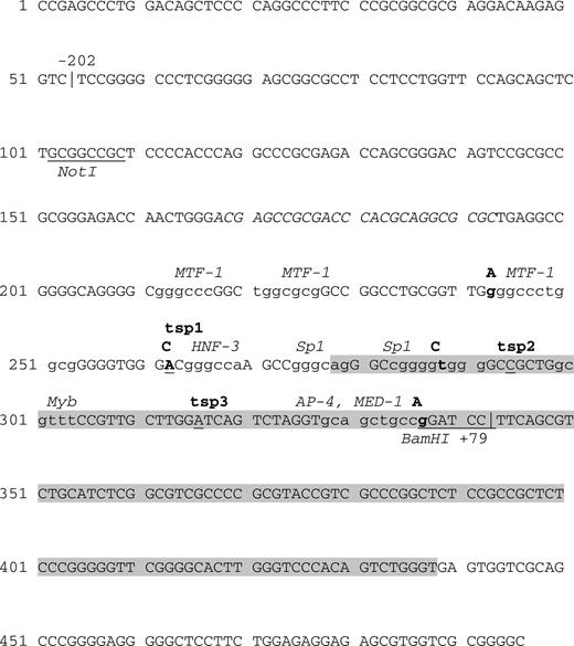 Structure of the ANXA5 gene core promoter region. The boundaries are marked by vertical bars and are numbered according to the position of the first transcription start point (tsp1). Non-translated exon 1 is shaded in gray. Transcription factor consensus motifs are in small print, and abbreviations of the corresponding transcription factors are displayed in italics above the sequence information. NotI and BamHI restriction sites are underlined and the sequence of the Z-DNA stretch in the promoter is given in italics. Nucleotides marking transcription start points (tsp) are underlined. Regions important for promoter function (motifs A and B) cover nucleotide positions 295–311 and 328–337. Nucleotides changed in the M2 ANXA5 promoter haplotype are printed in bold and substituting nucleotides are given in bold capital letters on top of the respective positions.