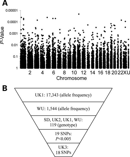 Discovery sample results and follow-up strategy. (A) Allelic P-values for 17 339 SNPs in DNA pools of the UK1 sample set. SNPs are plotted according to chromosome and position. Four SNPs [rs1331212 (chr. 6), rs157581 (chr. 19), rs405509 (chr. 19) and hCV3098650 (chr. 19, 57.7 Mb)] with allelic P-values < 0.00001 have been omitted from the graph. U: chromosome or position on a chromosome is unknown. (B) Number of unique SNPs that were tested in the specified sample sets. Allele frequency refers to data derived from DNA pools.