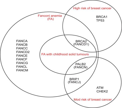  Phenotypes associated with DNA repair genes that are known to cause FA and/or breast cancer predisposition. BRCA2 , PALB2 and BRIP1 can cause both phenotypes: monoallelic mutations confer increased risks of breast cancer and biallelic mutations cause FA. Biallelic mutations in BRCA2 and PALB2 cause a severe form of FA associated with greatly increased risks of childhood solid tumours and severe chromosomal instability, whereas mutations in BRIP1 cause classical FA. Monoallelic mutations in BRCA2 are associated with greatly increased risks of breast cancer, whereas mutations in PALB2 and BRIP1 confer modestly increased risks. FA, Fanconi anemia; Mod, moderate. 