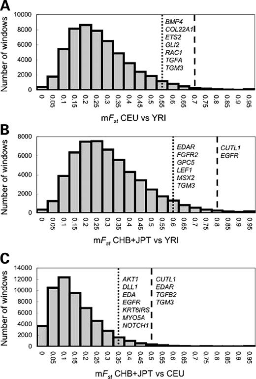 Empirical distributions of mFST and genes showing high mFST. (A) CEU versus YRI, (B) CHB+JPT versus YRI, (C) CHB+JPT versus CEU. Dashed line: 99th percentile; dotted line: 95th percentile.