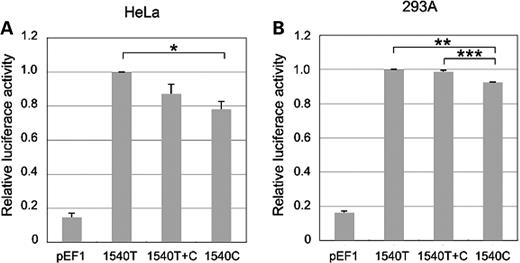 Luciferase assay for the NF-κB activity. The effects of the 1540T/C were examined in the two cell lines HeLa and 293A. Relative luciferase activities were standardized as fold activities upon each cells transfected by pEF1-EDAR-1540T (ancestral type). Values represent the means ± SE of three independent transfections, each with triplicate determinations. (A) HeLa cell; t-test: 1540T versus 1540C P = 0.0057 (*) (B) 293A cell; t-test: 1540T versus 1540C P = 1.9 × 10−5 (**), 1540T+C versus 1540C P = 5.8 × 10−5 (***). P-values for t-tests were adjusted by Holm’s method.