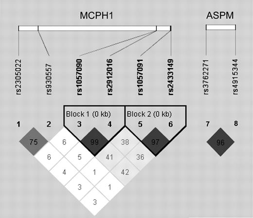 Linkage disequilibrium (LD) plots of the single nucleotide polymorphisms (SNPs) used in this study. We constructed the plots with the program Haploview (29), the triangles are the LD values calculated using the D′ measurement. The haplotype blocks were defined using an algorithm which creates the 95% confidence boundaries on D’ to define SNP pairs in strong LD.