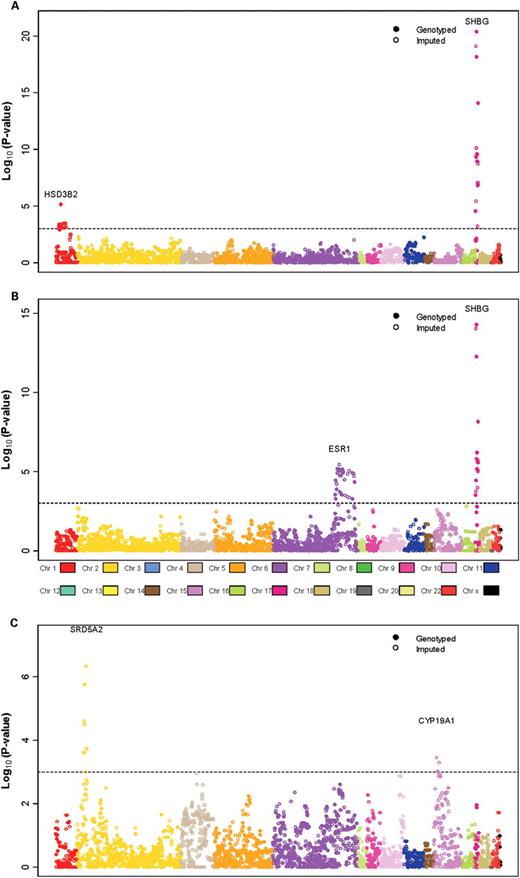 Associations of SNPs in sex hormone metabolizing genes with blood sex hormone concentrations in the NCI-BPC3. P -values (1 df test) for association of SNPs with circulating sex steroid levels SHBG ( A ), testosterone ( B ), 3α-androstanediol-glucuronide ( C ) and 17β-estradiol ( D ). The closed circles represent genotyped SNPs and the empty circles represent imputed SNPs.
