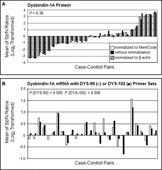 Levels of dysbindin-1A protein (A) and estimate of its mRNA levels (B) in the DLPFC of the 28 schizophrenia cases compared to their matched controls. For each of these pairs, the amount of the protein in the schizophrenia case to that in its matched control is expressed as a ratio shown on the Y-axis. The ratio is actually the mean of ratios calculated in two separate experiments on the same cases. Mean ratios were log transformed as explained in Data analysis section. Three bars are shown for each of the 28 case–control pairs in (A): one for the ratio calculated with raw data (filled bar), another calculated with data normalized to β-actin levels (striped bar) and a third calculated with data normalized with MemCode results (open bar). The order in which case–control data are displayed in (A) simply reflects rank ordering of the 28 pairs with increasingly positive ratios. In (B), however, the order in which case–control data are displayed is identical to the sequence of case–control pairs shown in (A) to facilitate comparison of protein and gene expression ratios for each pair. The mRNA data were normalized to expression of the housekeeping genes B2M, GAPDH and HPRT. Note the clear lack of correspondence between case–control ratios for dysbindin-1A and its transcript.