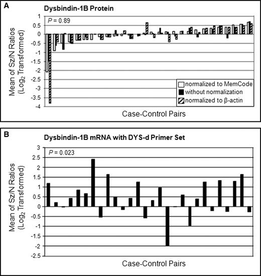 Levels of dysbindin-1B protein (A) and its mRNA levels (B) in the DLPFC of schizophrenia cases compared to matched controls (see caption to Fig. 4 for further explanation). Note the clear lack of correspondence between case–control ratios for dysbindin-1B and its transcript.