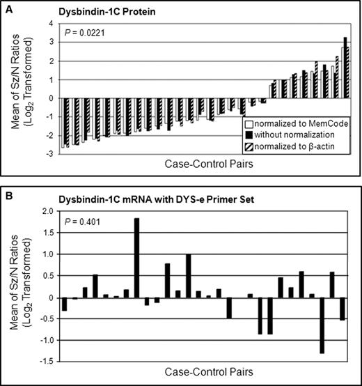 Levels of dysbindin-1C protein (A) and its mRNA levels (B) in the DLPFC of schizophrenia cases compared to matched controls (see caption to Fig. 4 for further explanation). Note the clear lack of correspondence between case–control ratios for dysbindin-1C and its transcript.