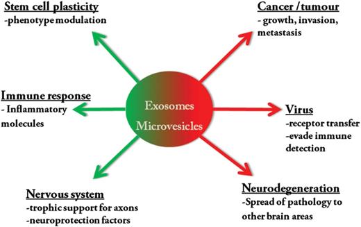 The different beneficial (green) and potentially detrimental (red) effects of exosome and microvesicle gene information transfer.