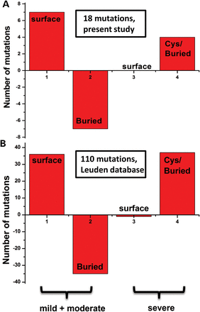 A link between phenotypic severity of missense variant and the mutation location in the RS1 three-dimensional structure is shown. The severity of structural change due to missense mutation was estimated using the computed impact score. Residues were divided in two groups by computed severity value, CI, and considered as mild (CI ≤ 0.4) or as severe (CI > 0.4). (A) A group of 18 missense variants collected in the Moorfields Eye Hospital. (B) Computed severity of missense mutations was calculated by the method similar to that described by Sergeev et al. (2010) for 110 missense variants causing X-linked retinoschisis, which were acquired from the Leiden Open Variation Database (http://grenada.lumc.nl/LOVD2/eye/home.php) and the Retina International Newsletter Mutation Database (http://www.retina-international.com/sci-news/mutation.htm). Positive and negative numbers at the Y-axis demonstrate consistency or inconsistency, respectively, with results obtained according to predictions from Sergeev et al. Numbers at the X-axis show results for mild, moderate (1, 2) and severe (3, 4) mutations, respectively.