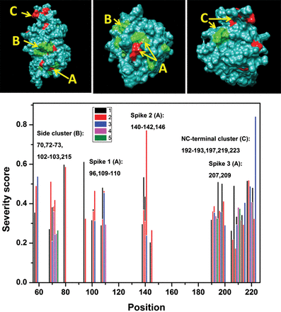 Predicted severities of 110 pathogenic missense changes at positions of the protein sequence show the areas affected most by hotspot mutations. These areas are shown at the top three insets by red (severe) and green (mild or moderate). Surface areas of spikes, side cluster and NC-terminal cluster are labeled by (A), (B) and (C), respectively. Bottom panel: Up to five individual predicted severities (CI values) are shown for each hotspot by five different colors. In each sequence position the number of hotspot mutations is shown in black (110 missense changes) and red (present study) (Supplementary Material, Fig. S2).