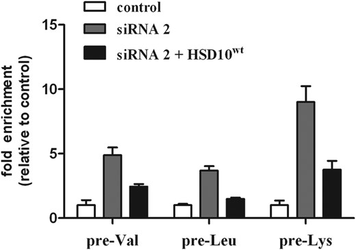 qRT-PCR analysis of three precursor tRNAs demonstrating that mt-tRNA processing can be partly rescued by the ectopic expression of HSD10wt. HSD10 knock-down increased expression of unprocessed pre-tRNAs pre-Val, pre-Leu and pre-Lys. After transfection of HSD10 knock-down cells with HSD10wt gene, the accumulation of unprocessed pre-tRNAs was ∼50% (pre-Val, pre-Leu) and 30% (pre-Lys) the amount of knock-down cells. The data demonstrated that HSD10wt expression restored at least in part RNase P function.