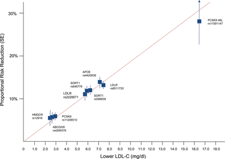Effect of lower LDL-C on risk of CHD [taken from Ference et al. (2012) (52)]. Boxes represent the proportional risk reduction (1-OR) of CHD for each exposure allele plotted against the absolute magnitude of lower LDL-C associated with that allele (measured in mg/dl). SNPs are plotted in order of increasing absolute magnitude of associations with lower LDL-C. The line (forced to pass through the origin) represents the increase in proportional risk reduction of CHD per unit lower long-term exposure to LDL-C.