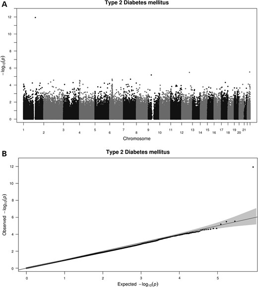 Manhattan plot shows the distribution of the P-values of the association between methylation probes in DM analysis in BASICMAR_1 discovery cohort (A) and QQ plot (B).