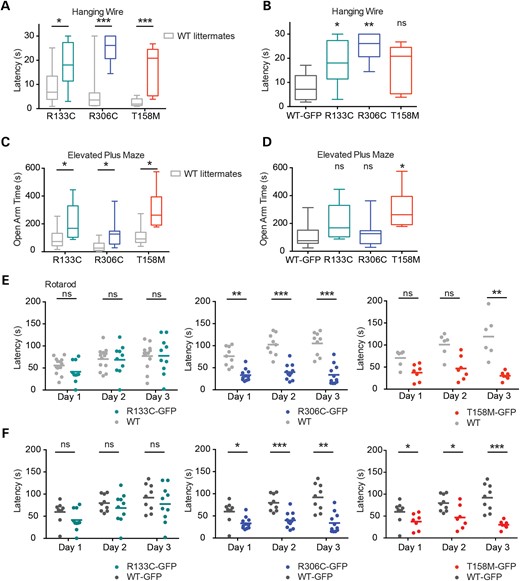 Behavioural analysis of the Mecp2-GFP allelic series indicates that R133C-GFP mice are less severely affected than R306C-GFP and T158M-GFP. Mutant males and WT male littermates underwent behavioural analysis as in Figure 1. (A) Hanging-wire test, (C) elevated plus maze and (E) accelerating rotarod. R133C-GFP (n = 10, green) plus WT littermates (n = 13, grey); R306C-GFP (n = 10–11, blue) plus WT littermates (n = 9, grey); T158M-GFP (n = 7, red) plus WT littermates (n = 6, grey). B, D and F show comparisons between mutant males and WT-GFP males in the same series of tests. (E and F) Graphs showing mean time to descent for individuals (dots) and cohorts (lines) for each trial day. Statistical analysis took all trials into account, and significance is denoted as follows: *P < 0.05, **P < 0.01 and ***P < 0.001 (Kolmogorov–Smirnov test). All behavioural paradigms were conducted on animals aged 8–10 weeks.