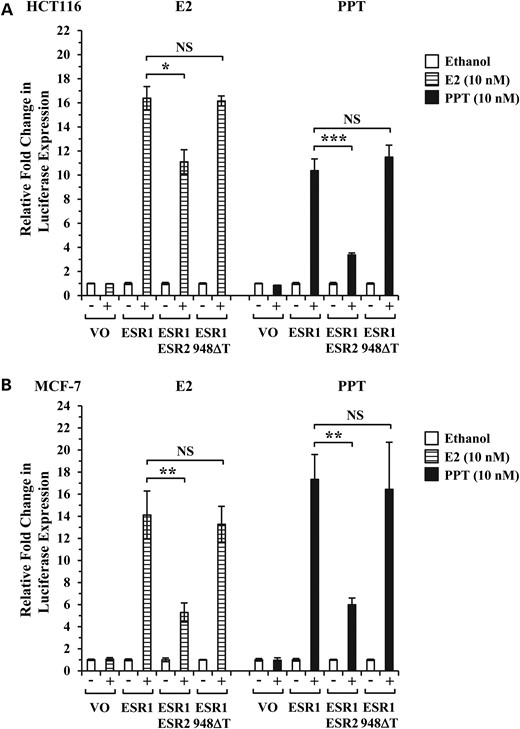 Diminished ability of ESR2 c.948delT to inhibit wtESR1. Luciferase assays evaluating transcriptional activity of a transfected ERE by vector only (VO), wtESR1 (ESR1) alone or in combination with either wtESR2 (ESR2) or ESR2 c.948delT (948ΔT) mutant at a ratio of 1:3 in (A) HCT116 and (B) MCF-7 cell lines. Cells were treated with 10 nM E2, 10 nM PPT or ethanol control as indicated for 24 h prior to cell lysis and luciferase activity measurement. Relative fold change presents mean values ± SE from at least two independent experiments (n = 4 wells per experiment). *P < 0.05; **P < 0.01; ***P < 0.001; NS, not significant.