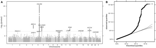 (A) Manhattan plot of GWS loci for itch intensity from mosquito bites, adjusted for bite size and excluding responders positive for common immune-related conditions. The grey horizontal line corresponds to P = 5 × 10−8, and results above this threshold are shown in dark grey. Gene labels are annotated as the nearby genes to the significant SNPs. λ = 1.042. (B) Quantile-quantile plot (insert). Observed P values versus theoretical P values under the null hypothesis of no association, plotted on a log scale. The solid black line is shown with a slope of 1, and dashed black lines represent a 95% confidence envelope under the assumption that the test results are independent.