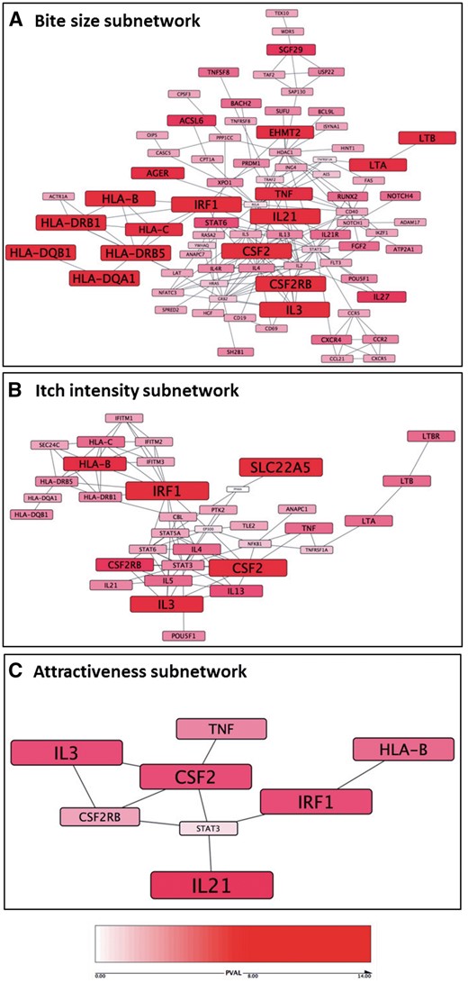 Mosquito-trait pathway analysis. The highest scoring PPI subnetworks based on the PASCAL gene-trait association scores are illustrated for the bite size (A), itch intensity (B) and attractiveness (C) GWAS; nodes are sized and coloured according to P value (red = Gene-trait association P > 1 × 10−8, white = Gene-trait association P = 0).