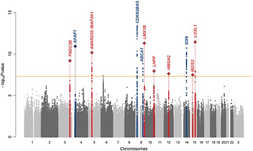 Manhattan plot depicting the results of the genome-wide association study (GWAS) and replication studies in the Japanese population. The x-axis shows the chromosomes and their positions. The y-axis shows −log10 P-values of single nucleotide polymorphisms (SNPs). The orange horizontal line is the genome-wide significance level (P=5.0 × 10−8). Plots of the seven novel associated loci discovered by the Japanese GWAS are highlighted in red. Combined-analyses of the GWAS and Japanese replication sets are shown as diamonds for the loci which have not been reported in East Asians. Previously identified loci that showed a significant genome-wide significant association in the Japanese GWAS are highlighted in blue.