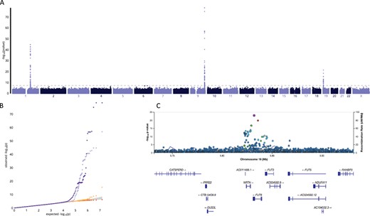 Manhattan plot of genome-wide associations with soluble E-selectin levels (A); quantile-quantile plots (QQplots) of P-values from the genome-wide association tests with soluble E-selectin levels (B) at four different MAF bins (red: 0.001 < = MAF < 0.003$\lambda =0.993$, orange: 0.003 < = MAF < 0.011 $\lambda =1.001$, violet: 0.011 < = MAF < 0.066$\lambda =0.997$, purple: 0.066 < = MAF < = 0.5$\lambda =0.999$); Regional plot of E-selectin associations at the FUT6 locus (C), with the rs17855739 variant highlighted in purple and pairwise LD denoted by color from red (strong) to green (moderate) to blue (weak).