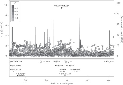 Association statistics with age-adjusted inverse normal AMH for variants within 500 kb of rs16991615 (chr20:5948227) showing linkage disequilibrium with the top variant. Note: Linkage disequilibrium shown is in unrelated Europeans in UK Biobank.