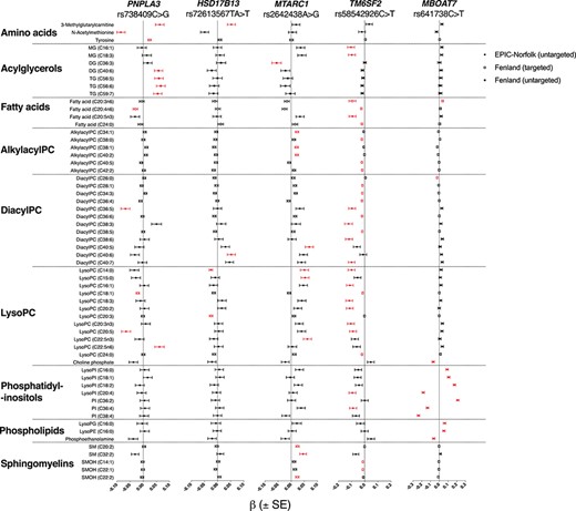 Associations of metabolites with NASH-fibrosis variants in the Fenland and EPIC-Norfolk cohort. Metabolites are arranged by class and annotated whether they were obtained by untargeted or targeted methods. Beta (β) ± standard error (SE) per allele from linear regression models are presented, adjusted for age, sex and the first ten genetic principal components and after standardization of each metabolite. Only metabolites significantly associated with at least one variant of interest (Q < 0.05) are presented and marked in Red. MG, monoglyceride; PC, phosphatidylcholine; PI, phosphatidylinositol; SM, sphingomyelin.
