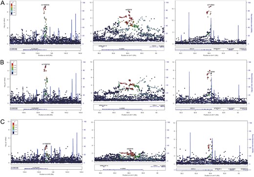 Regional association plots at the three genome-wide significant loci in the primary UK Biobank RD analysis across different case definitions. The y-axis represents the negative logarithm (base 10) of association P-value and the x-axis the position on the chromosome. The lead variants from the RD-SR-ICD discovery study (A – Ncases = 3977) are marked by a purple diamond. The colours of the other variants reflect LD strength (r2) with the lead variant at each locus. (B) Results at the same loci when cases linked to ICD10 codes H33.1 and H33.3 are omitted (Ncases = 2893). (C) Results when cases are restricted to participants with H33.0 code (Ncases = 1380).