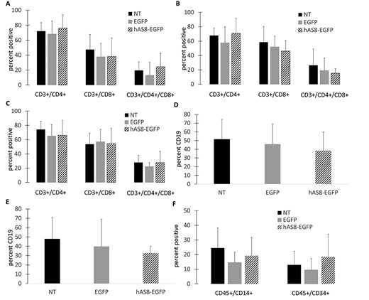 Engraftment and development of human immune cells in NRG mice: Human CD34+ HSPC were left NT or transduced with either the EGFP control (EGFP) or Ube3a-expressing (hAS8) lentiviral vector. Cells were transplanted into 2–5-day-old NRG mice. At 16 weeks post-transplant, mice were euthanized, and human T cells were analyzed for CD3, CD4, and CD8 expression in the (A) peripheral blood, (B) spleen, and (C) thymus. Human B cells were analyzed for CD45 and CD19 in the (D) spleen and (E) bone marrow. (F) Human macrophages (CD45/CD14) and human CD34+ HSPC (CD45/CD34) were analyzed in the bone marrow.
