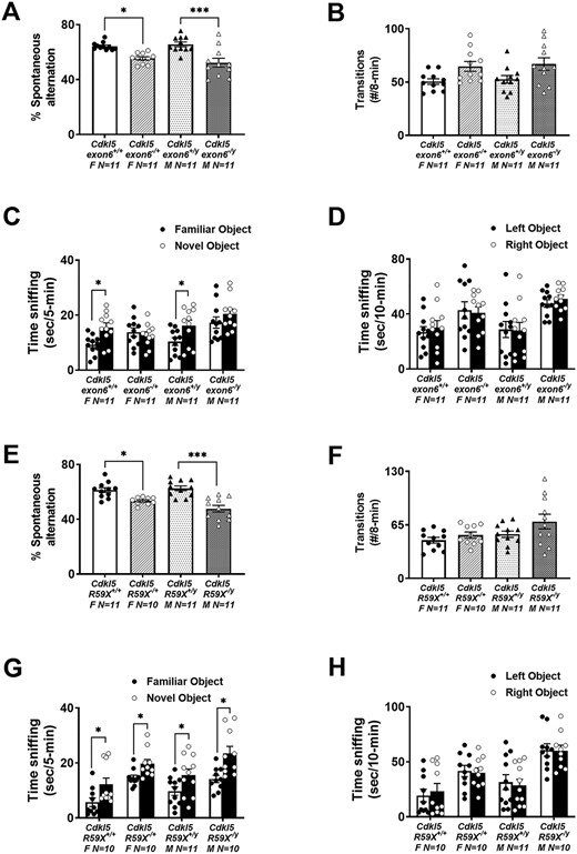 Cognitive deficits in Cdkl5 deletion and knock-in mice. (A) Cdkl5exon6−/+ females and Cdkl5exon6−/y males exhibited working memory impairments by lower percentage of spontaneous alternation in Y-maze. (B) The total transitions made by Cdkl5exon6−/+ females and Cdkl5exon6−/y males were similar to their wild-type, sex-matched littermate controls. (C) Cdkl5exon6−/+ females and Cdkl5exon6−/y males exhibited a lack of recognition memory following a 1 h delay compared with wild-type, sex-matched littermate controls that spent more time with the novel object. (D) All groups explored the two objects similarly during the familiarization phase. (E) Cdkl5R59X−/+ females and Cdkl5R59X−/y males exhibited working memory impairments by lower percentage of spontaneous alternation in Y-maze. (F) The total transitions made by Cdkl5R59X−/+ females and Cdkl5R59X−/y males made were similar to wild-type, sex-matched littermate controls. (G) Cdkl5R59X−/+ females and Cdkl5R59X−/y males exhibited intact recognition memory following a 1 h delay similar to wild-type, sex-matched littermate controls. (H) All groups explored the two objects similarly during the familiarization phase. Data are expressed as mean +/− S.E.M. *P < 0.05, **P < 0.001 and ***P < 0.0001 indicate when the Cdkl5 mutant mice differ from wild-type, sex-matched littermate controls.