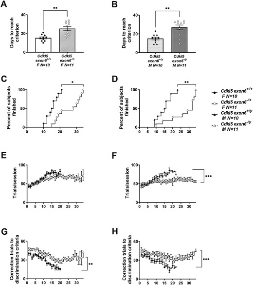 Delayed touchscreen learning in Cdkl5 deletion mice. (A, B) Cdkl5exon6−/+ females and Cdkl5exon6−/y males took significantly longer to reach a criterion of completing at least 30 trials with 80% or higher accuracy on two consecutive days compared with wild-type, sex-matched littermates. (C, D) The percentage of mice that reached criterion was significantly higher in wild-type, sex-matched controls than Cdkl5exon6−/+ females and Cdkl5exon6−/y males. (E, F) Cdkl5exon6−/+ females and Cdkl5exon6−/y males completed fewer trials per session. (G, H) Cdkl5exon6−/+ females and Cdkl5exon6−/y males required higher correction trials to reach criterion. Data are expressed as mean ± S.E.M. *P < 0.05, **P < 0.001 and ***P < 0.0001 indicate when the Cdkl5 mutant mice differ from wild-type, sex-matched littermate controls.