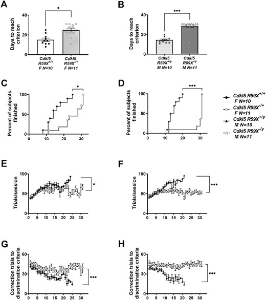 Delayed touchscreen learning in Cdkl5 knock-in mice. (A, B) Cdkl5R59X−/+ females and Cdkl5R59X−/y males took significantly longer to reach a criterion of completing at least 30 trials with 80% or higher accuracy on two consecutive days compared with wild-type, sex-matched littermates. (C, D) The percentage of mice that reached criterion was significantly higher in wild-type, sex-matched littermate controls than Cdkl5R59X−/+ females and Cdkl5R59X−/y males. (E, F) Cdkl5R59X−/+ females and Cdkl5R59X−/y males completed fewer trials per session. (G, H) Cdkl5R59X−/+ females and Cdkl5R59X−/y males required higher correction trials to reach criterion. Data are expressed as mean ± S.E.M. *P < 0.05, **P < 0.001 and ***P < 0.0001 indicate when the Cdkl5 mutant mice differ from wild-type, sex-matched littermate controls.