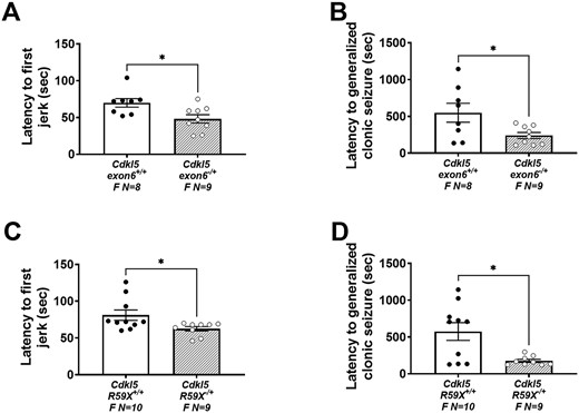Increased seizure susceptibility in Cdkl5 deletion and knock-in female mice. (A, B) Reduced latencies to first jerk and generalized clonic seizures were observed in Cdkl5exon6−/+ females after an i.p. injection of 80 mg/kg PTZ over the course of a 30 min trial. (C, D) Reduced latencies to first jerk and generalized clonic seizures were observed in Cdkl5R59X−/+ females after an i.p. injection of 80 mg/kg PTZ over the course of a 30 min trial. Data are expressed as mean ± S.E.M. *P < 0.05 indicates when the Cdkl5 mutant mice differ from wild-type, sex-matched littermate controls.