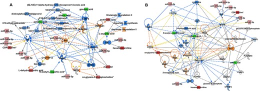 Correlation analysis of differentially expressed miRNA and metabolites. miRNA-metabolites level correlation was performed for CTL vs NLA (A) and NLA vs PLS (B). Metabolite and miRNA datasets were entered into IPA to generate metabolite-miRNA interactive network (green indicates down- and red indicate up-regulation). Solid lines indicated direct interaction and dotted lines indicate indirect interaction. Blue lines predict leading to inhibition, orange line predicts activation and yellow line indicates findings inconsistent with state of downstream molecule. Black line indicates effect not predicted.