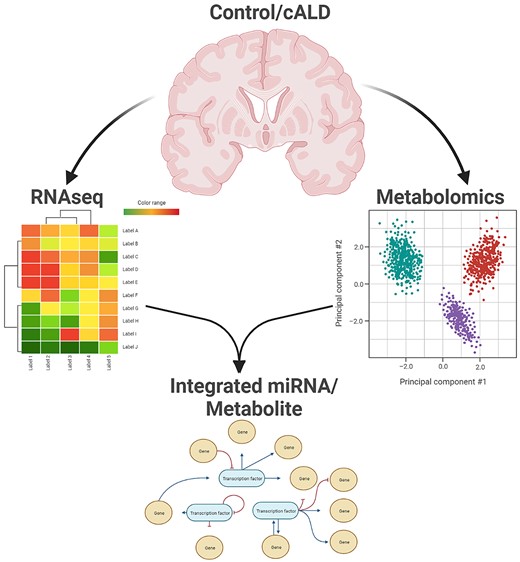 Graphical Abstract