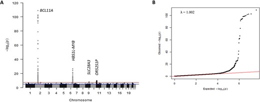(A) Manhattan plot showing meta-analysis of 3582 SCD patients. The y-axis indicates the −log(P-value) for each variant in the meta-analysis, and the x-axis shows the chromosomal position. (B) Quantile-quantile plot of the observed vs expected P-values with the genomic control inflation factor (λ) of 1.002. Alt-text. (A). This shows genetic association signals for BCL11A on chromosome 2 (P = 1.83 × 10−109), HBS1L-MYB on chromosome 6 (P = 1.77 × 10−27), SLC28A3 on chromosome 9 (P = 2.73 × 10–8) and OR52S1P on chromosome 11 (P = 2.03 × 10−10). (B). This is a quantile-quantile plot of -log10 (P-values) for all SNPs tested, showing the distributions of the observed P-values from the genome-wide association study against the null hypothesis.