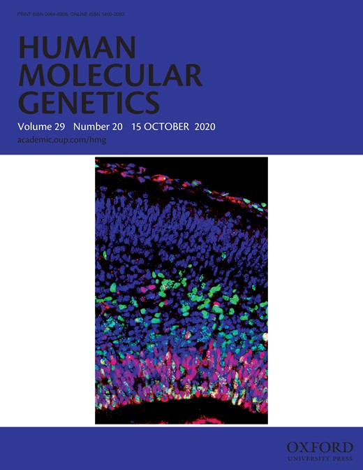Human Molecular Genetics Cover Image for Volume 29, Issue 20