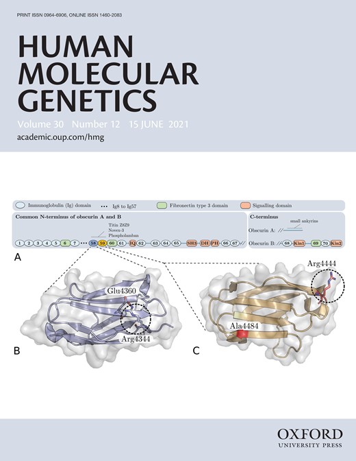 Human Molecular Genetics Cover Image for Volume 30, Issue 12