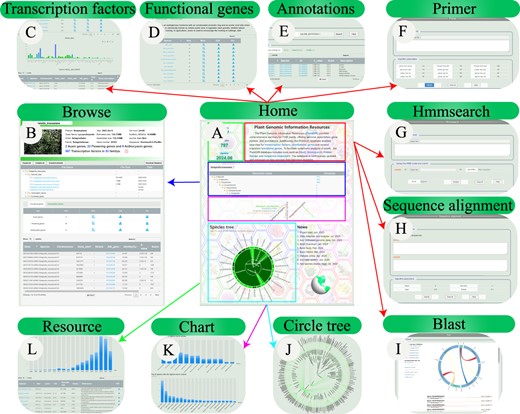 Interactive Tree Ui plantGIR: a genomic database of plants | Horticulture Research | Oxford ...