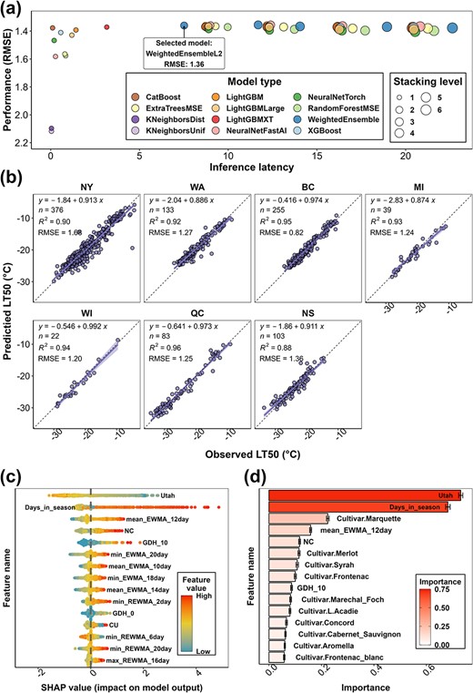 The final grapevine freezing tolerance model training result, performance, and feature importance. (a) The performance ($RMSE$) of all the models generated from training. (b) The performance of the final grapevine LT50 prediction model by individual sub-datasets. The data used to compute model performance are from internal testing data. (c) SHAP value distribution of the top 15 features of the final model. Feature importance is ranked based on the mean of absolute SHAP values of all the samples per feature. (d) AutoGluon feature importance of the top 15 features of the final model. The importance indicates the drop in model performance when the values of the feature are randomly shuffled across rows.