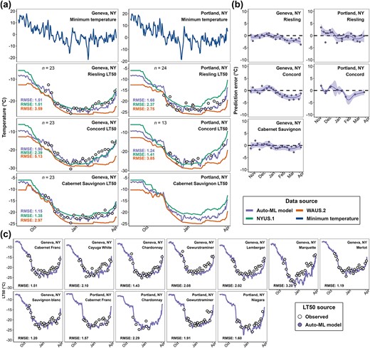 Model deployment results in Geneva, NY and Portland, NY in 2022–23 dormant season. (a) Prediction comparison of Auto-ML model, NYUS.1, and WAUS.2 and on-site measurements in ‘Cabernet Sauvignon’, ‘Riesling’, and ‘Concord’. (b) Prediction error distribution of Auto-ML model by cultivar. (c) Predictions from Auto-ML model and on-site measurements in other cultivars. Open black circles indicate the LT50 measurements.