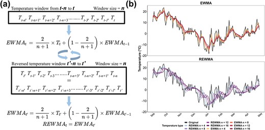 Computation of exponential weighted moving average (EWMA) and reverse exponential weighted moving average (REWMA) temperatures and their impacts on daily temperatures. (a) Schematic representation of EWMA and REWMA temperatures in a window from $t-n$ to $t$. $T$ is the temperature of a day. To compute the EWMA of a date $t$ with the window size of $n$, weight is exponentially ascendingly added from $t-n$ to $t$. To compute the REWMA of a date $t$ with the window size of $n$, the window is first reversed to ${t}^{\prime }-n$ to ${t}^{\prime }$ (where ${T}_{t^{\prime }}={T}_{t-n}$ and ${T}_{t^{\prime }-1}={T}_{t-n+1}$, etc.), and weight is exponentially ascendingly added from ${t}^{\prime }-n$ to ${t}^{\prime }$, thus exponentially descendingly added from $t-n$ to $t$. (b) Effect of EWMA and REWMA with four window sizes (4, 8, 12, and 16 days) on mean and daily temperatures in a dormant season. Original temperatures represent the recorded temperature in the field during the season.