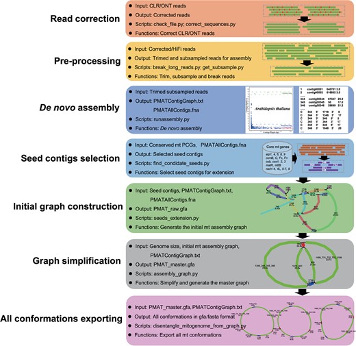 Automatic workflows of the plant mitogenome assembly toolkit. All listed Python scripts are available at https://github.com/bichangwei/PMAT.