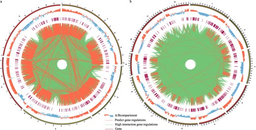 Flowering gene related cis-regulatory elements and the regulatory relationships in three-dimensional genomic data. a Flowering gene related cis-regulatory elements and the regulatory relationships in three-dimensional genomic data of Arabidopsis thaliana.b Flowering gene related cis-regulatory elements and the regulatory relationships in three-dimensional genomic data of Oryza sativa.